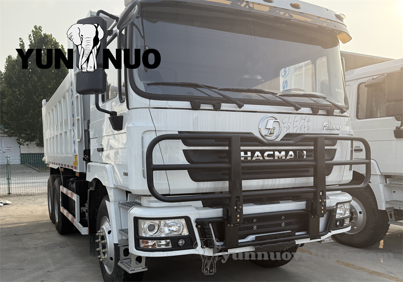 Clients from Chad visited Shandong Yunnuo副本