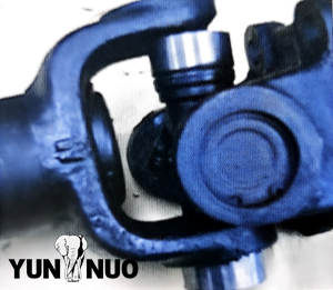 图片6